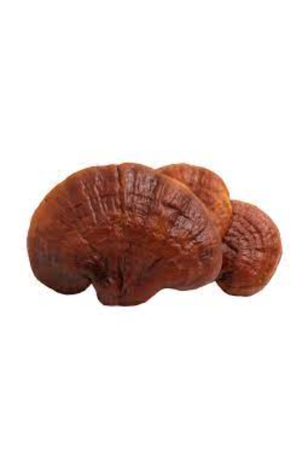 Reishi Mushroom (powder)